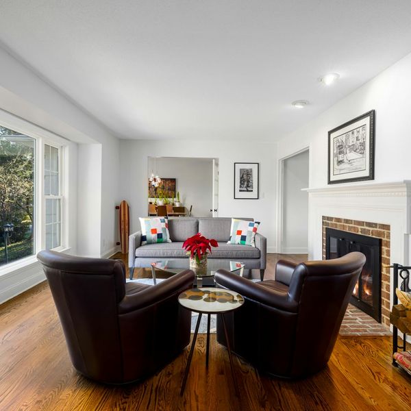 Minimalist room with a large window and a plant.