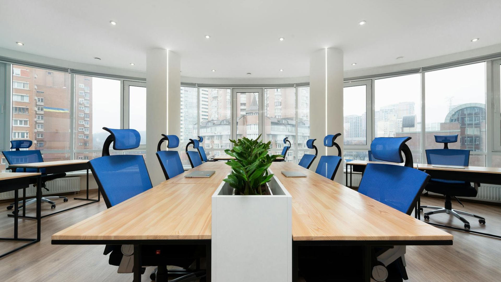 Panoramic view of a modern workspace with soft natural lighting and green plants.